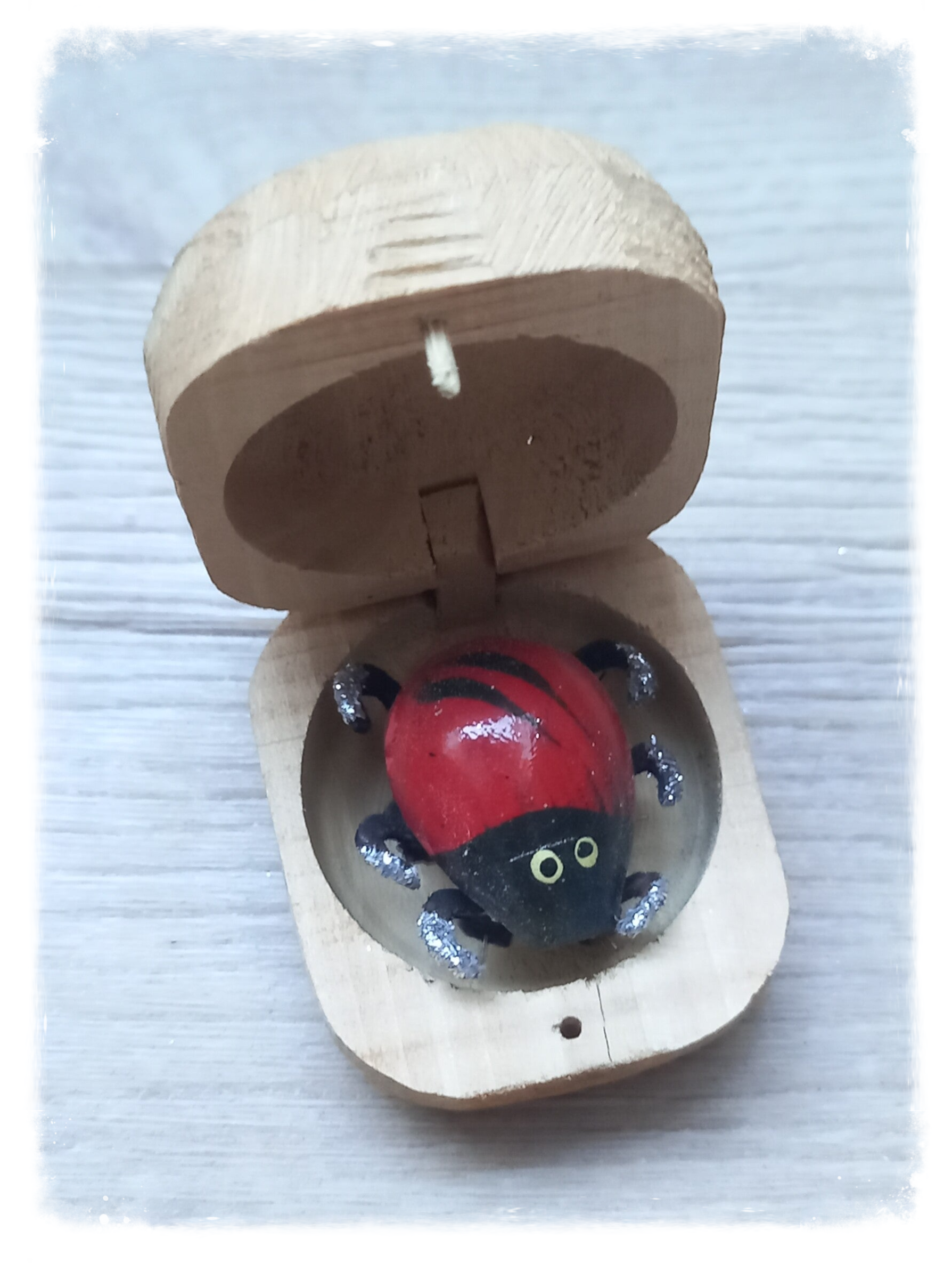 Boîte à chagrin Scarabée
