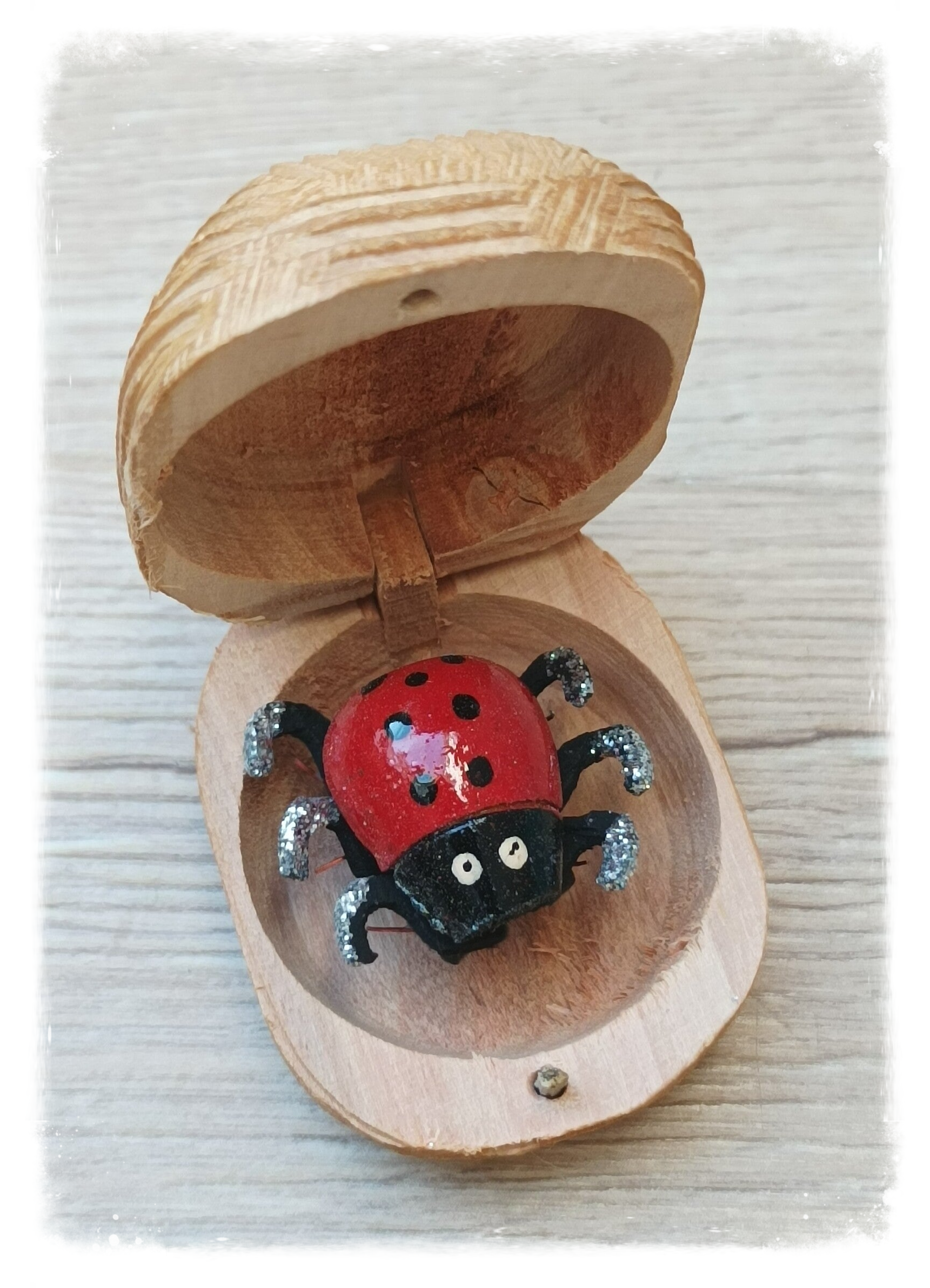 Boîte à chagrin coccinelle - Rouge