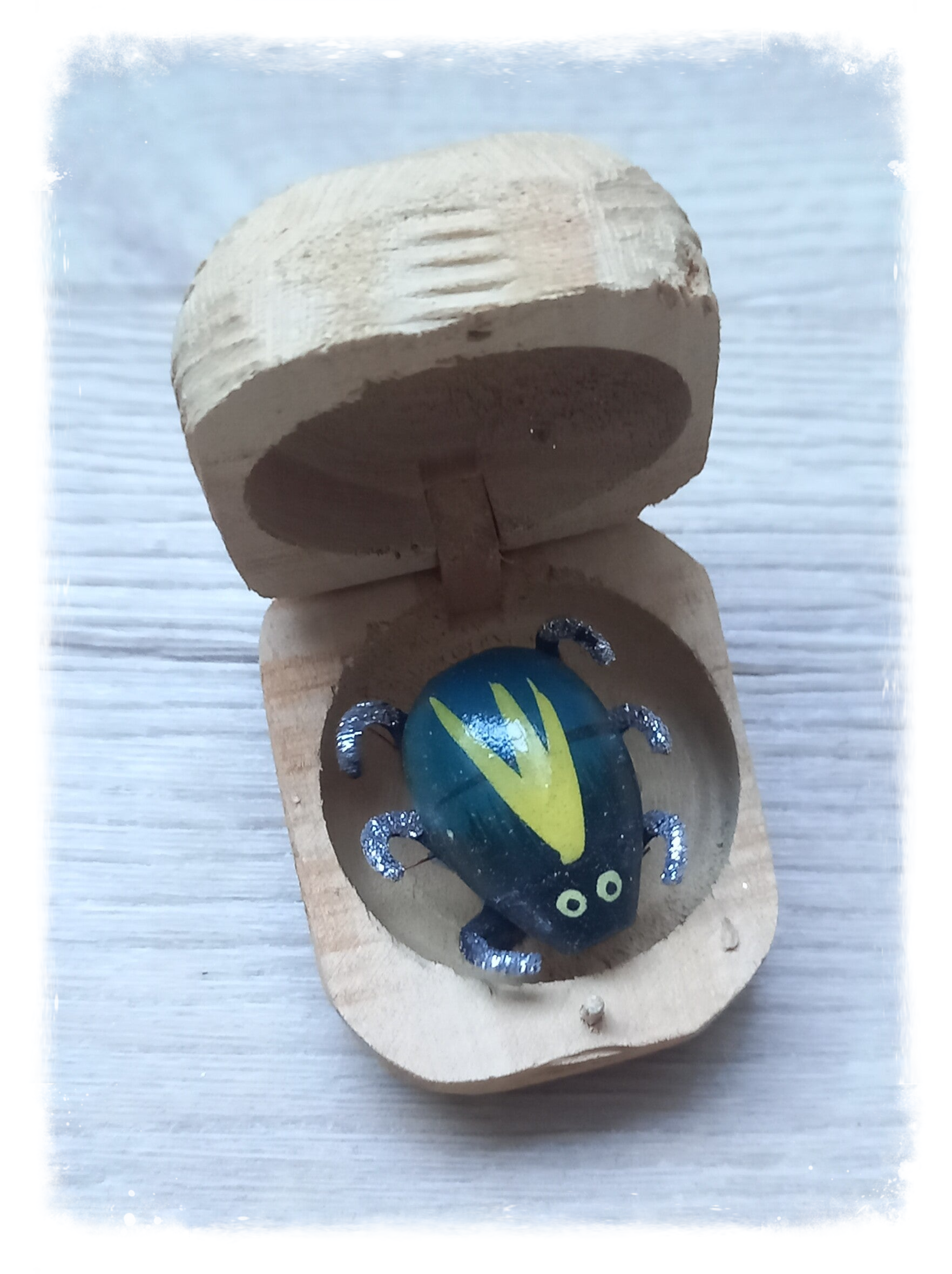 Boîte à chagrin Scarabée