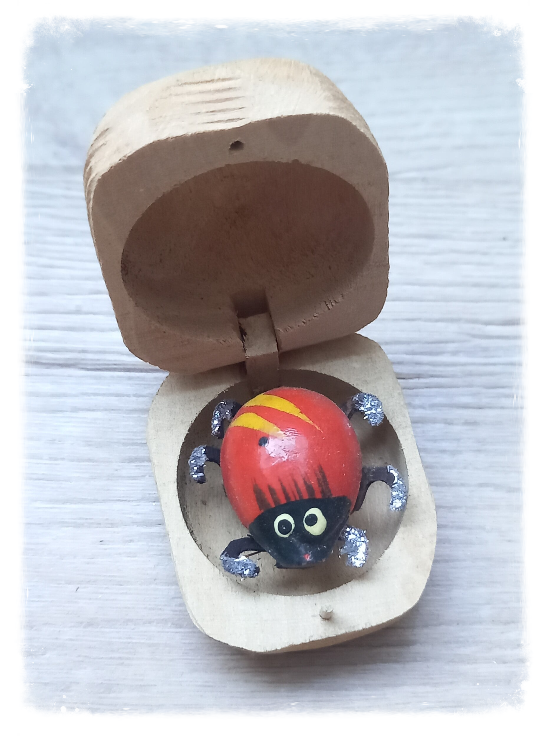 Boîte à chagrin Scarabée