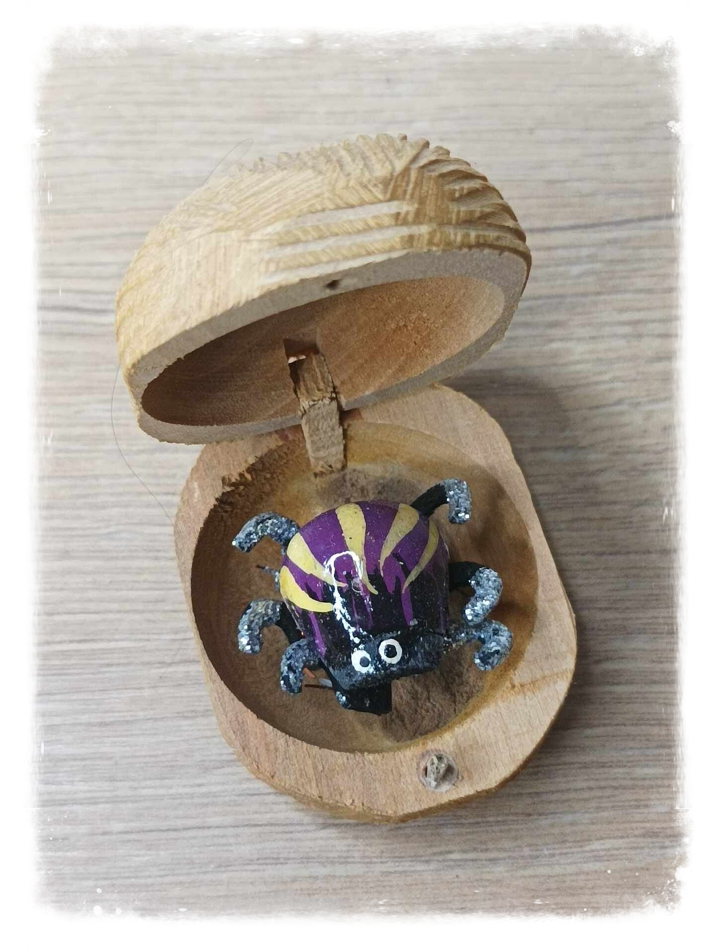 Boîte à chagrin Scarabée