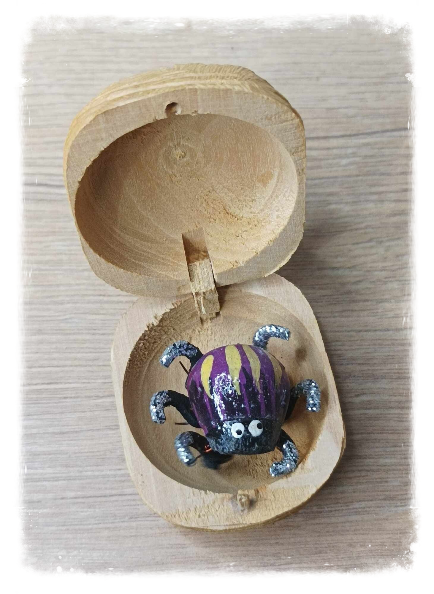 Boîte à chagrin Scarabée