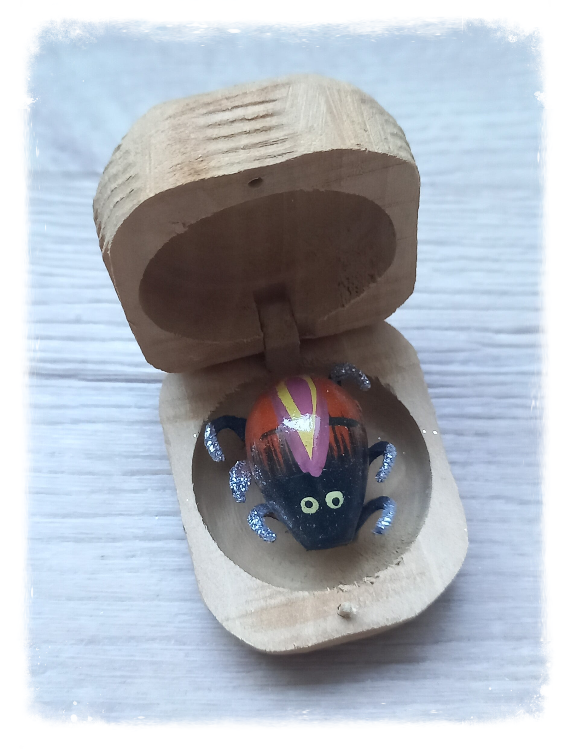 Boîte à chagrin Scarabée