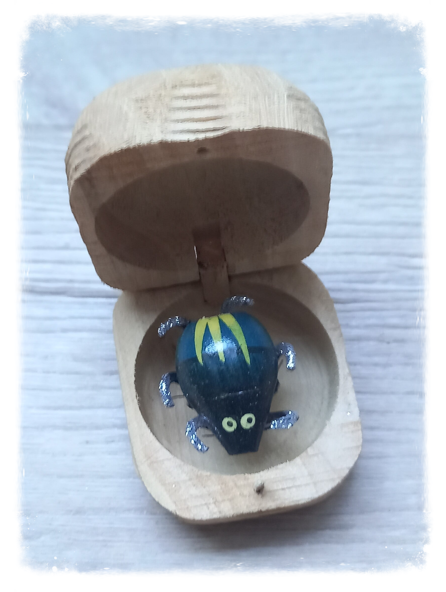 Boîte à chagrin Scarabée