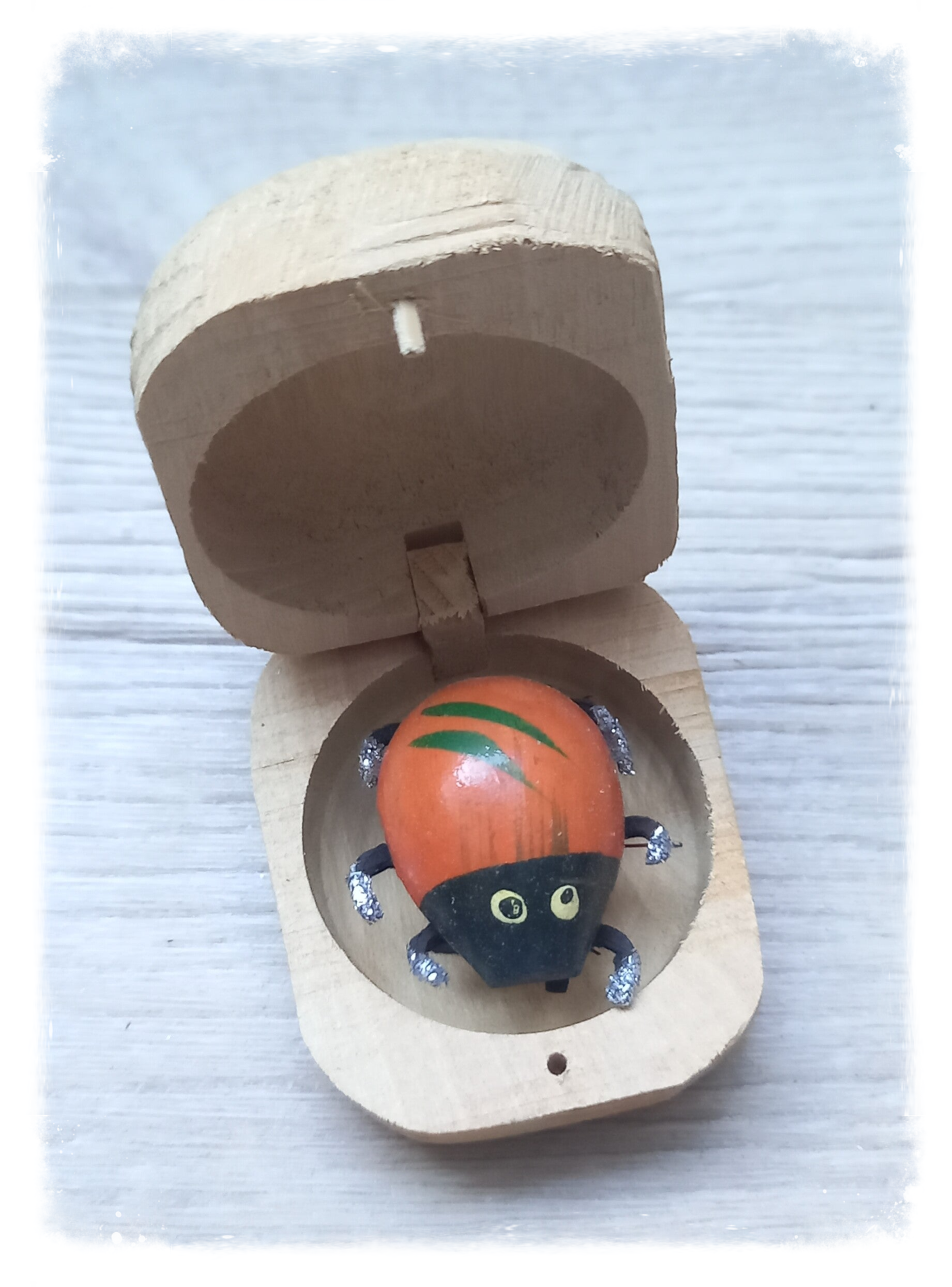 Boîte à chagrin Scarabée