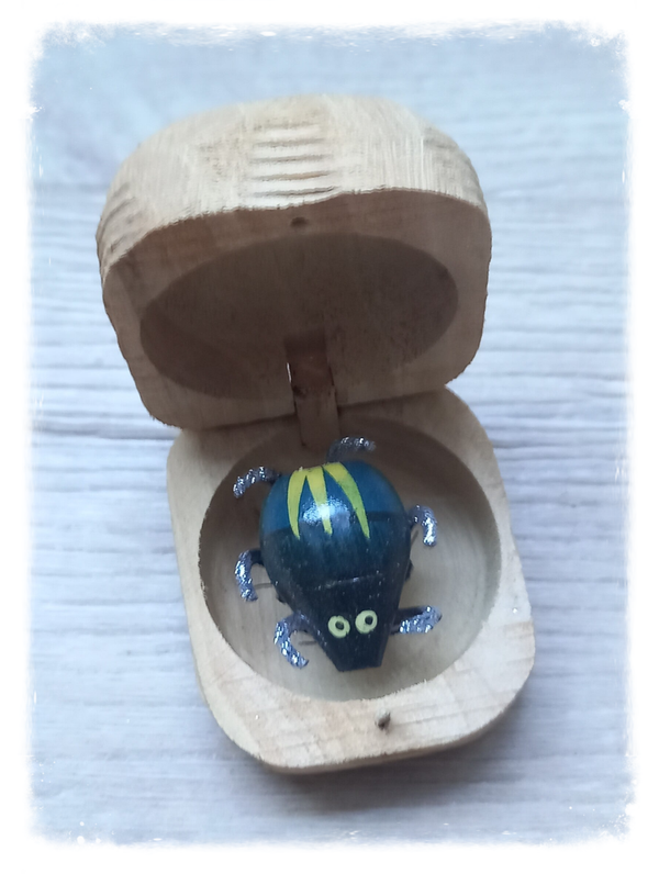 Boîte à chagrin Scarabée