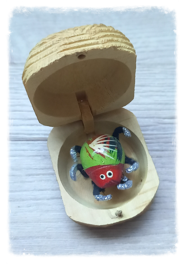 Boîte à chagrin Scarabée