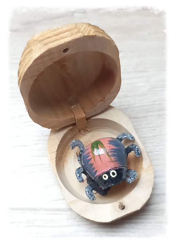 Boîte à chagrin Scarabée