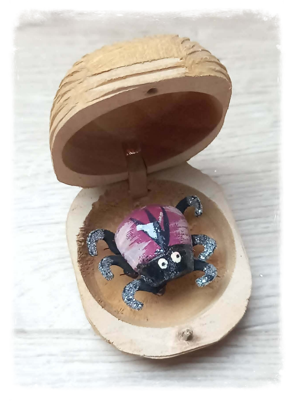 Boîte à chagrin Scarabée