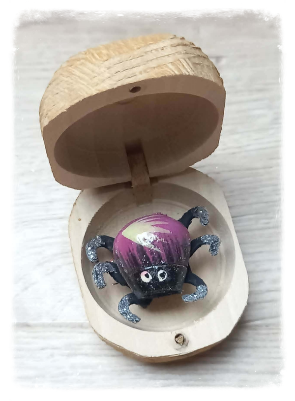 Boîte à chagrin Scarabée