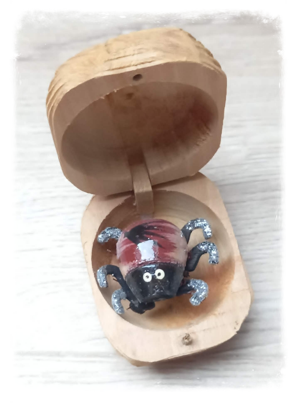 Boîte à chagrin Scarabée