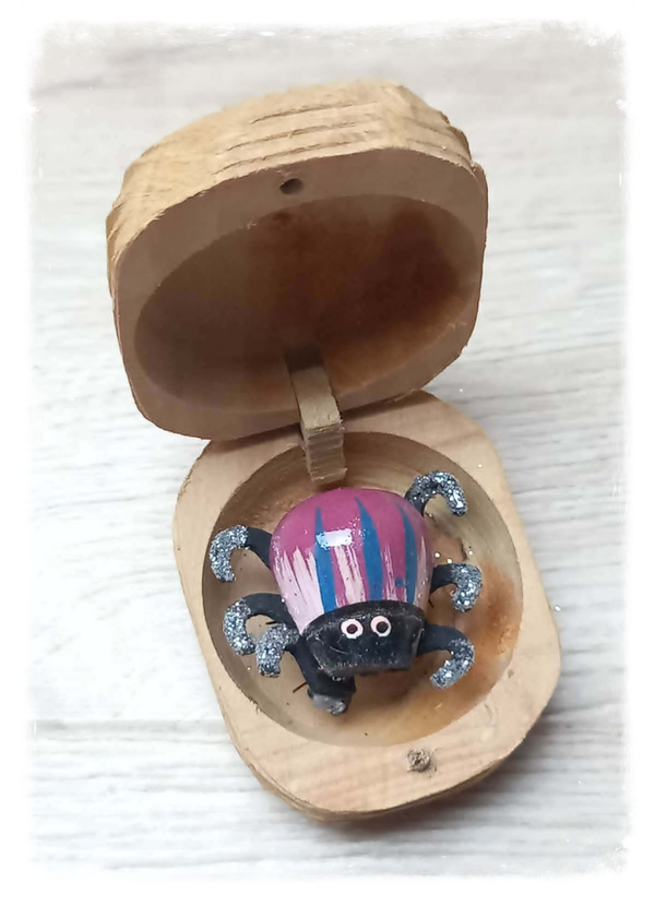 Boîte à chagrin Scarabée