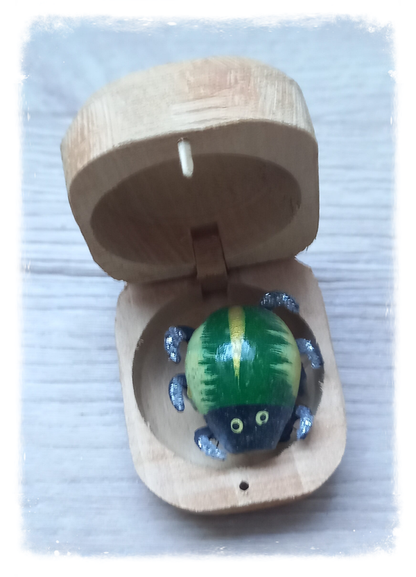 Boîte à chagrin Scarabée