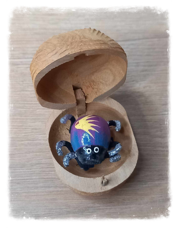 Boîte à chagrin Scarabée