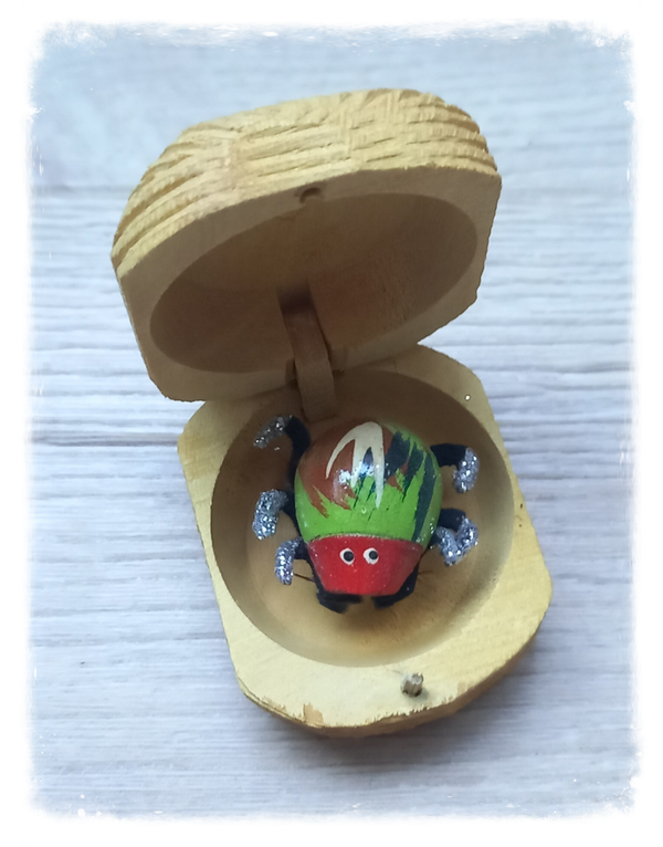 Boîte à chagrin Scarabée