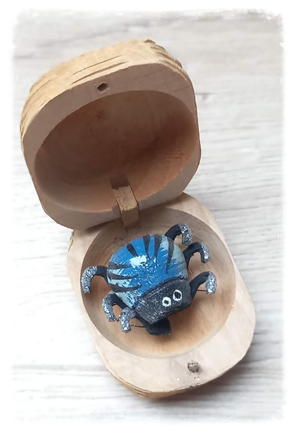 Boîte à chagrin Scarabée