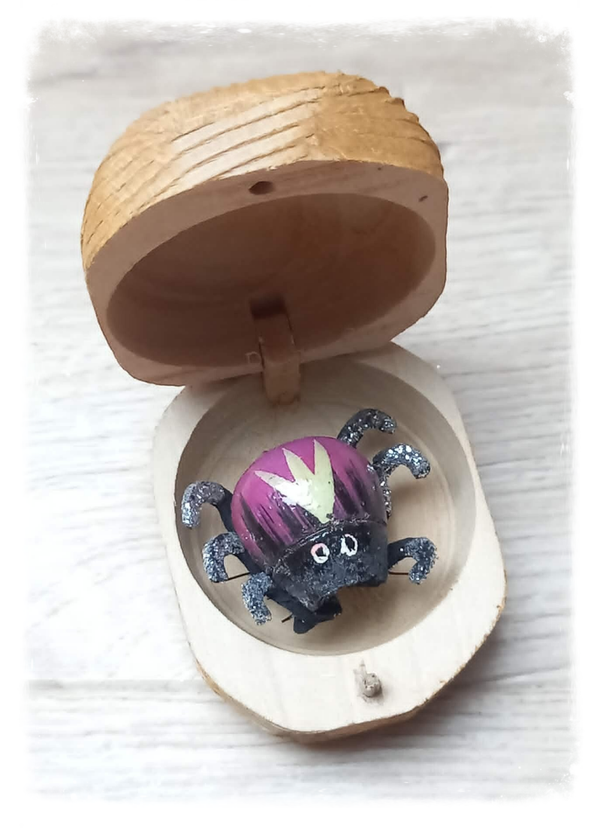 Boîte à chagrin Scarabée