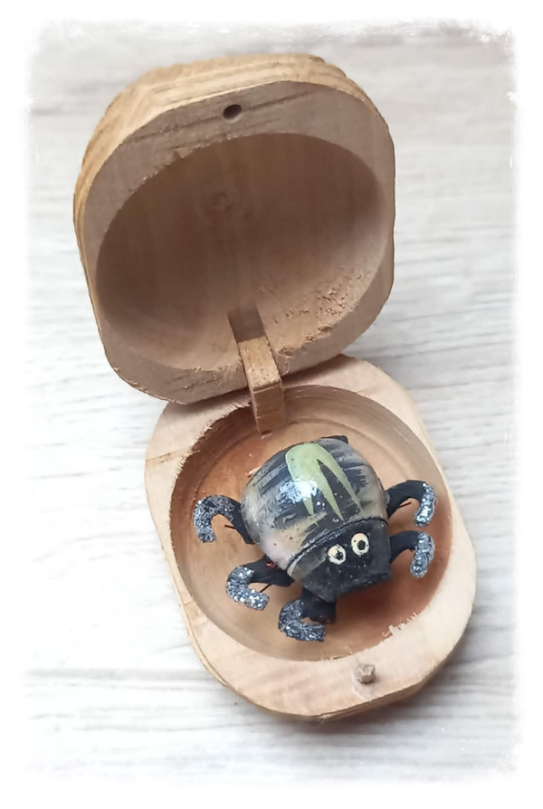 Boîte à chagrin Scarabée