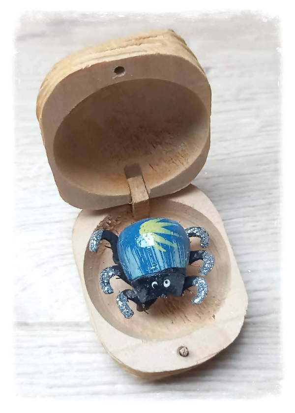 Boîte à chagrin Scarabée