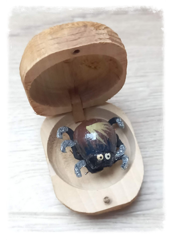 Boîte à chagrin Scarabée