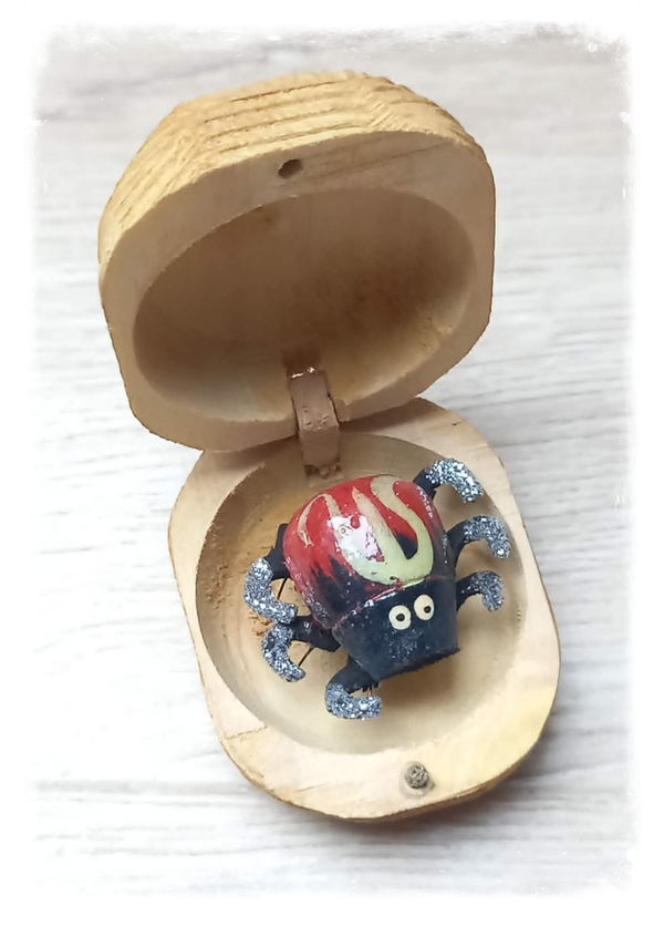 Boîte à chagrin Scarabée