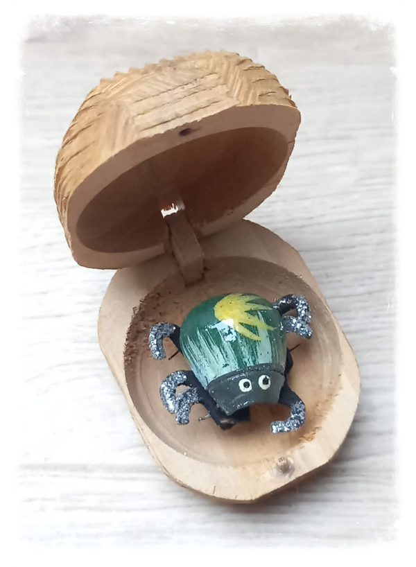 Boîte à chagrin Scarabée