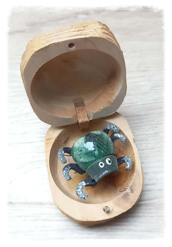 Boîte à chagrin Scarabée