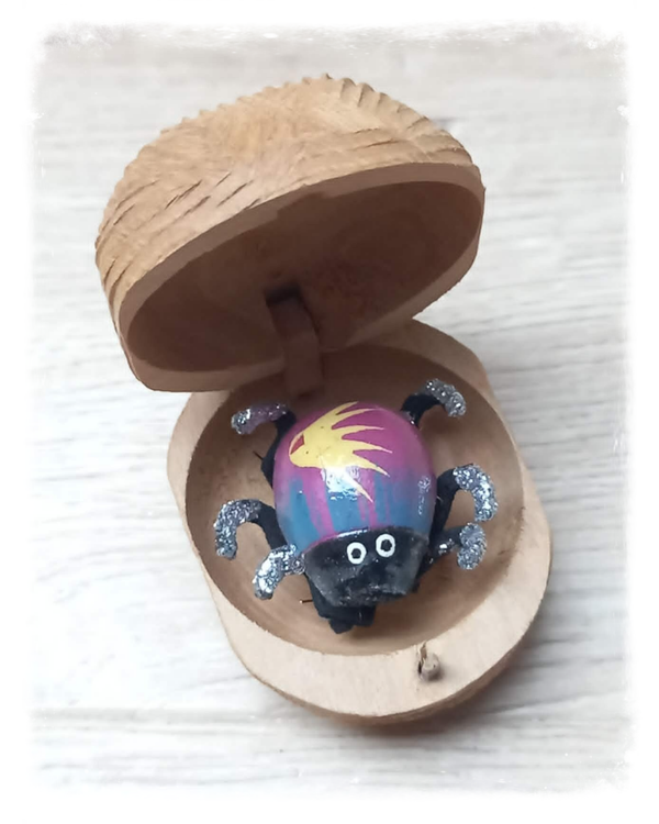 Boîte à chagrin Scarabée