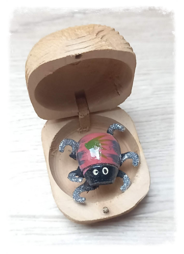 Boîte à chagrin Scarabée