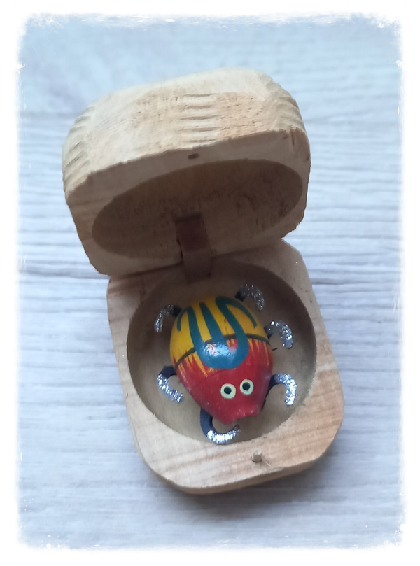 Boîte à chagrin Scarabée