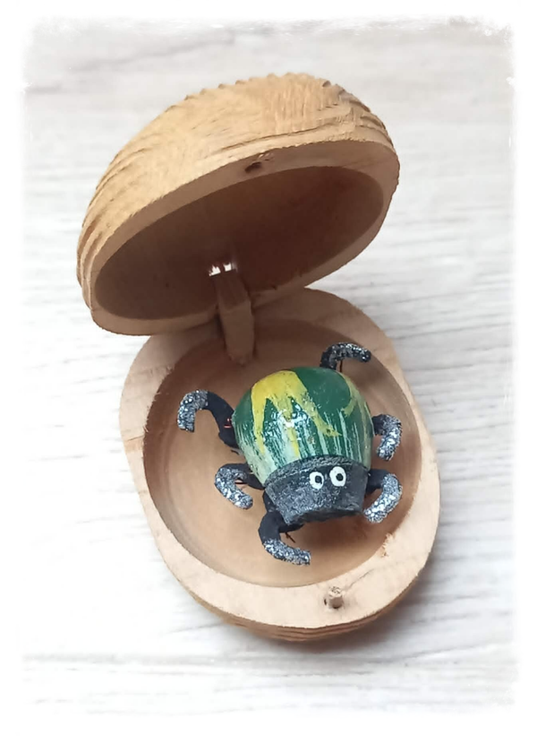 Boîte à chagrin Scarabée