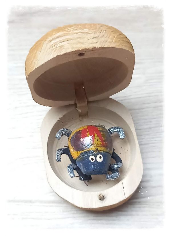 Boîte à chagrin Scarabée