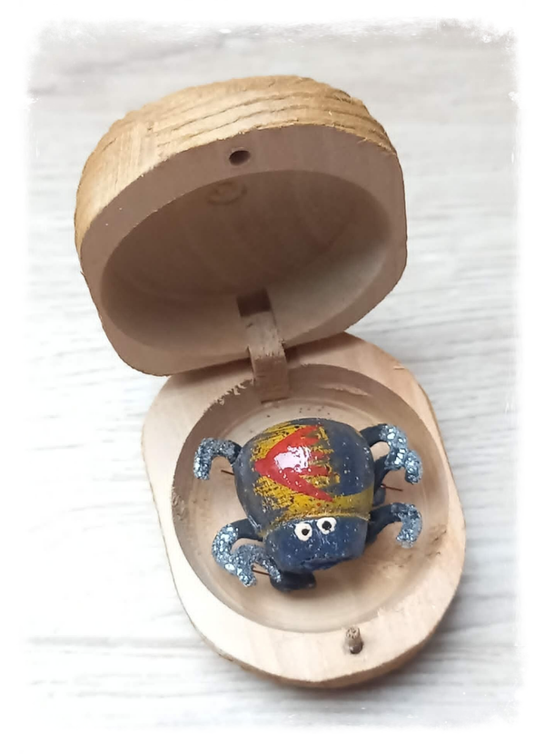 Boîte à chagrin Scarabée