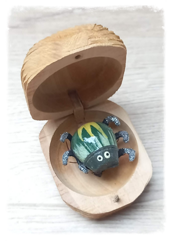 Boîte à chagrin Scarabée
