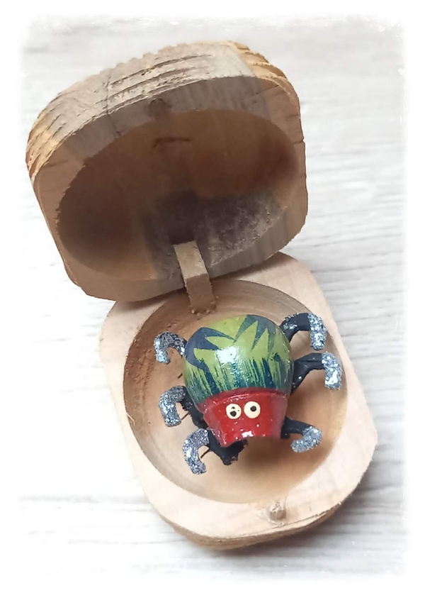 Boîte à chagrin Scarabée
