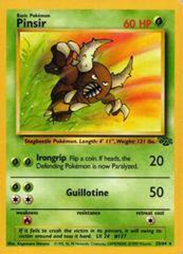 Pinsir 25/64 | Jungle