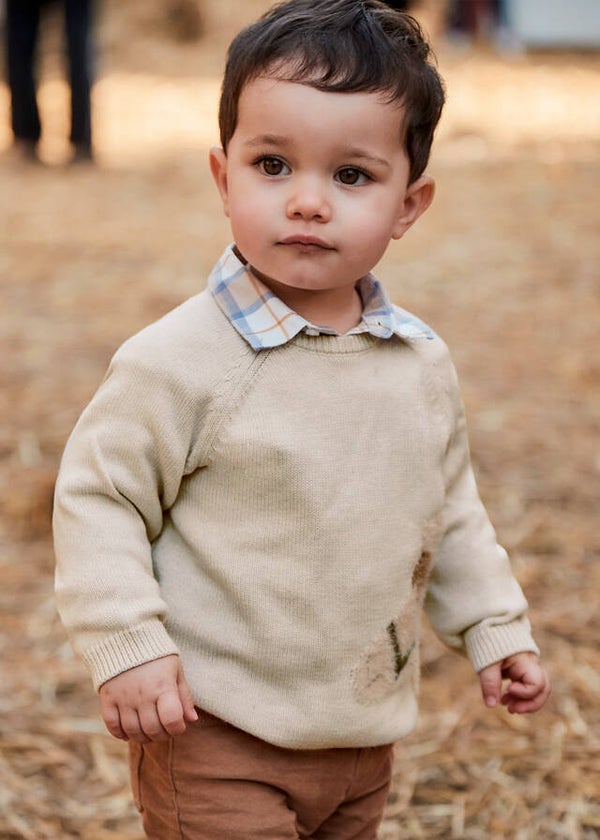 Trui 2345-22 Mayoral Jongen