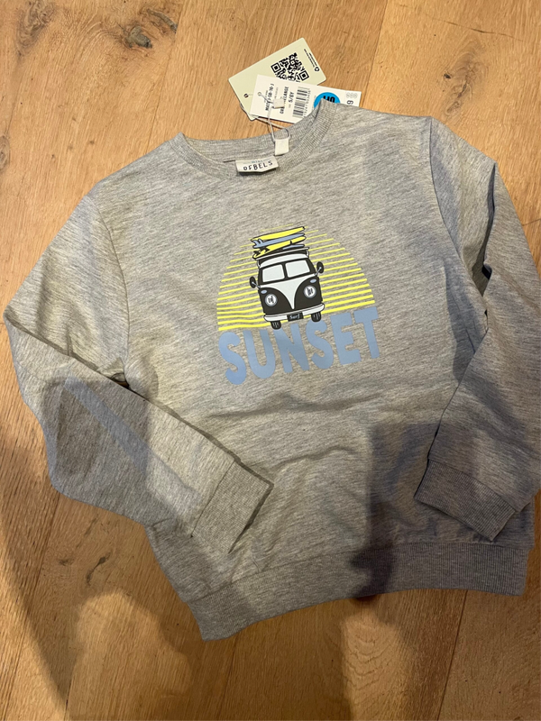 Trui Mini Rebels Mateo grijze jongen