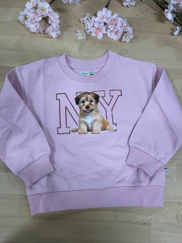 Sweater Lemon Beret hond