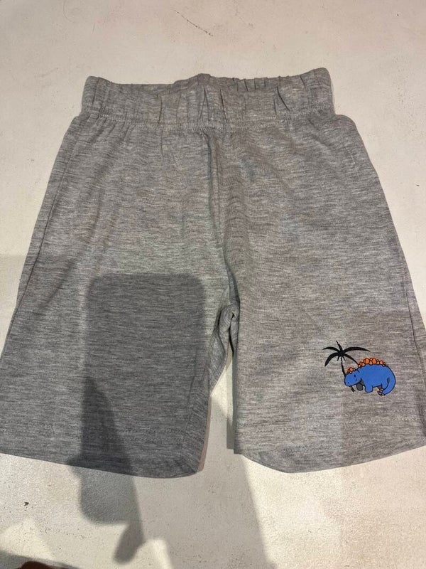 Short grijs dino lemon beret lp