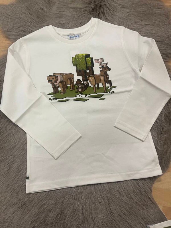 Tshirt 4054-89 Mayoral jongen 2