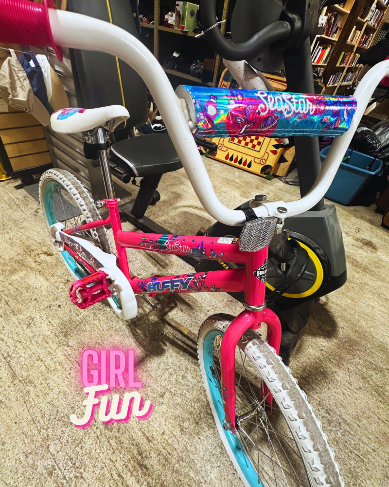 girls-bike-standard.png