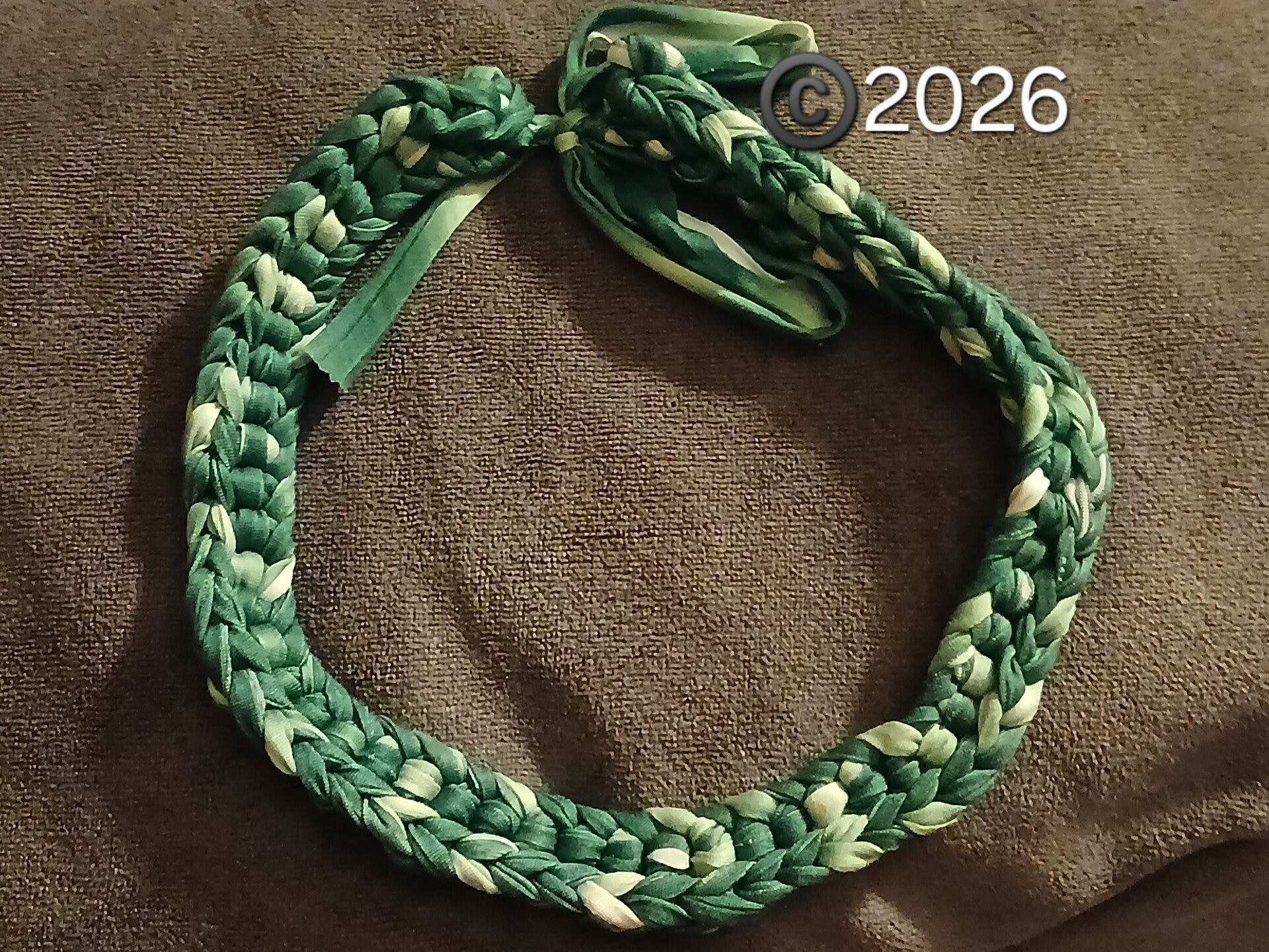 Green & White crocheted Puppy Collar