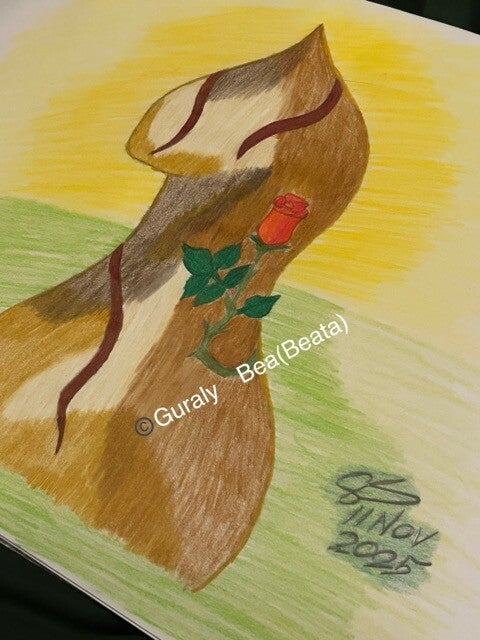 Knight color drawing