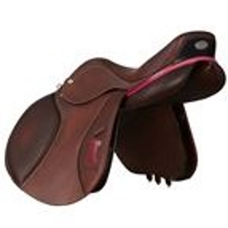 saddle6.png