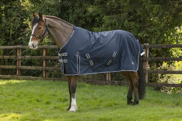 100g Rhinegold ‘Arizona’ Outdoor Rug