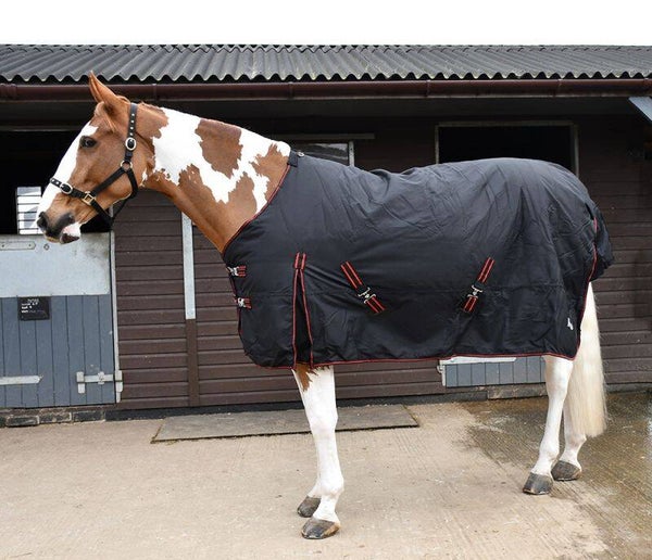 350g Rhinegold ‘Thor’ Outdoor Rug