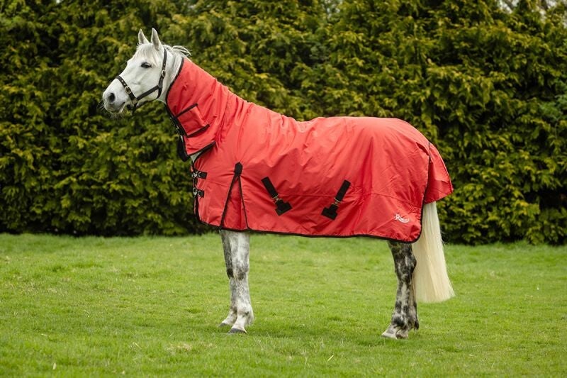 200g Rhinegold Konig Full Neck Combo Outdoor Rug