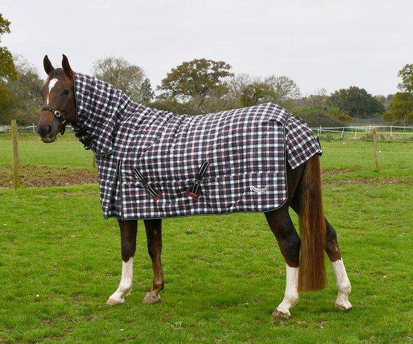 350g Rhinegold ‘Glacier’ Full Neck Combo Outdoor Rug