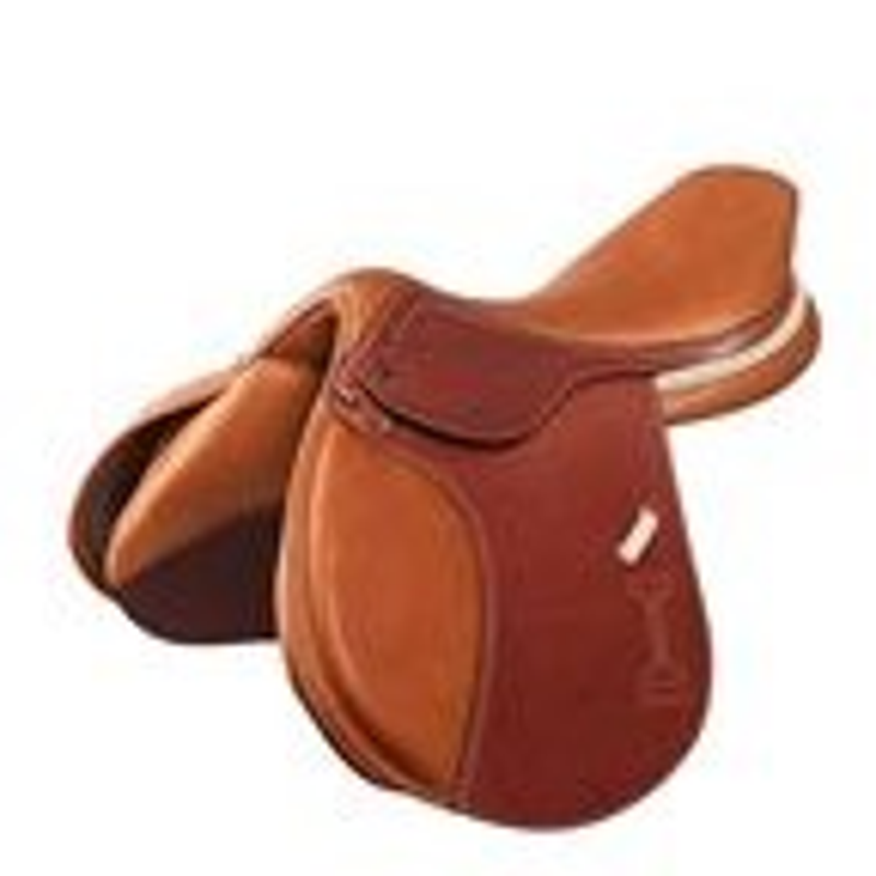 saddle3.png